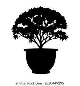 Black silhouette of a potted tree with detailed branches and foliage, isolated on white background, emphasizing natural growth and botanical beauty.