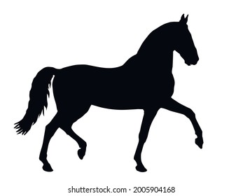 black silhouette of a prancing thoroughbred horse, isolated on a white background