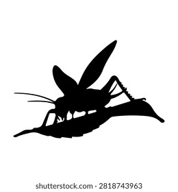 Black silhouette of a praying mantis perched on a leaf, highlighting its distinctive posture and elongated body against a plain background.