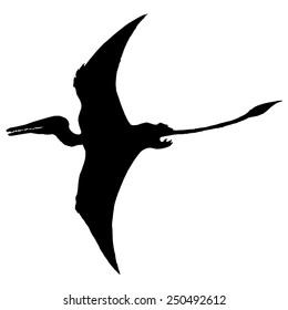 Black Silhouette Of Pterodactyl