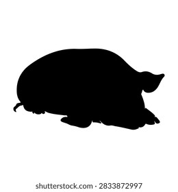 A black silhouette of a rabbit in profile, highlighting its distinctive ears and body shape, set against a plain white background.