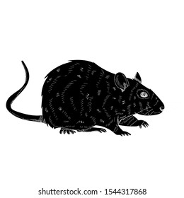  black silhouette of a rat, mouse