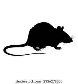 Black silhouette of a rat on white background. black icon of a rodent. vector illustration of a pest. Warning icon of pests.