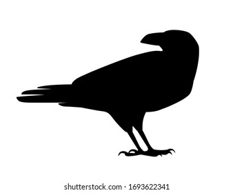 Black silhouette raven bird cartoon crow design flat vector animal illustration isolated on white background