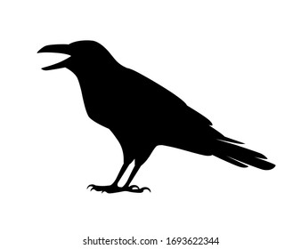 Black silhouette raven bird cartoon crow design flat vector animal illustration isolated on white background