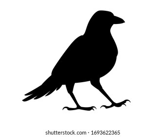 Black silhouette raven bird cartoon crow design flat vector animal illustration isolated on white background