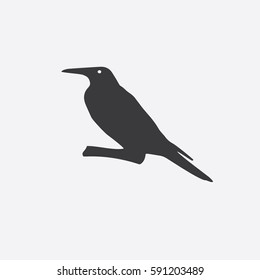 The black silhouette of a raven, magpie, rook. Vector illustration