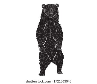 Black silhouette of a realistic bear in standing on two hind legs. Vector illustration.