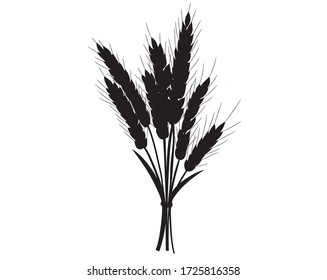 Black silhouette of a realistic bouquet of wheat spikelets in isolate on a white background. Vector illustration.