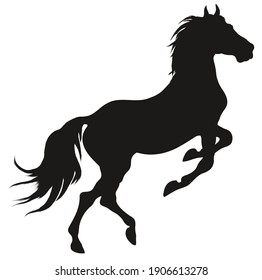 Black silhouette of a rearing horse. Prancing stallion pricked up its ears. Vector design element for equestrian goods isolated on a white background.