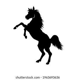 Black silhouette of a rearing horse. Prancing stallion pricked up its ears. Vector design element for equestrian goods isolated on a white background.