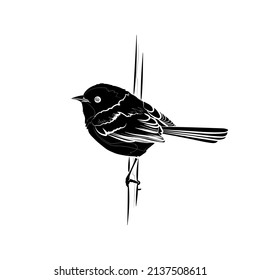 Black silhouette of the red-backed fairywren (Malurus melanocephalus) on white background. Graphic drawing. Vector illustration.