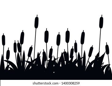 Swamp Images, Stock Photos & Vectors 