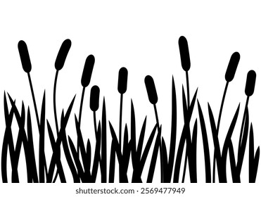 Black silhouette of reeds in a wetland