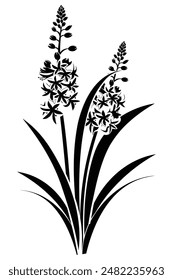 Black silhouette representing two blooming hyacinths flowers with leaves on a white background