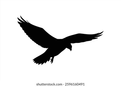 A black silhouette represents a bird flying gracefully with outstretched wings. The contrasting background emphasizes the birds form and movement in an artistic manner.