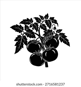 Black silhouette of ripe tomatoes on vine with green leaves, fresh vegetable illustration, organic food graphic, farm produce, healthy eating, isolated on white background.