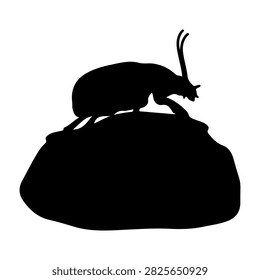 Black silhouette of a rodent standing on a rock, highlighting its shape and posture against a plain background, emphasizing natural wildlife form.