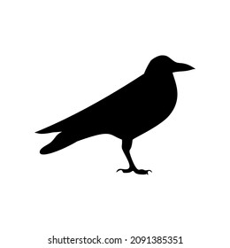 Black Silhouette Of Rook Isolated On White Background