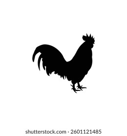 Black silhouette of rooster on white background