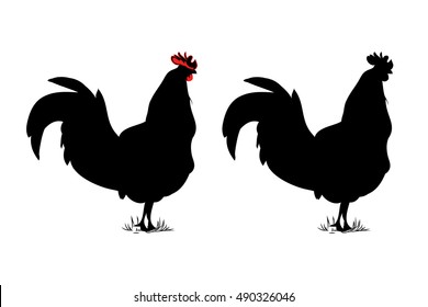 Black silhouette of a rooster on white background. The image of a black chicken with a red crest. Set vector images