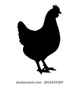A black silhouette of a rooster, showcasing its distinctive comb and tail feathers, standing upright with a proud posture.