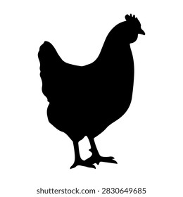A black silhouette of a rooster, showcasing its distinctive comb and tail feathers, standing upright with a proud posture.