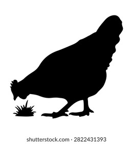 A black silhouette of a rooster standing on grass, showcasing its profile with detailed comb and tail feathers, isolated on a white background.
