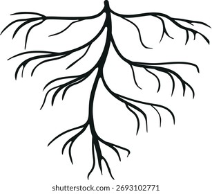 Black silhouette of root isolated on white background	