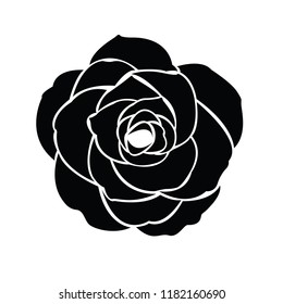 Black silhouette of rose