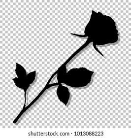 Black silhouette of rose flower isolated on transparent background. Beautiful bud of rose on long stem. Monochrome vector illustration, sign, symbol, clip art for valentines, love, wedding, design.