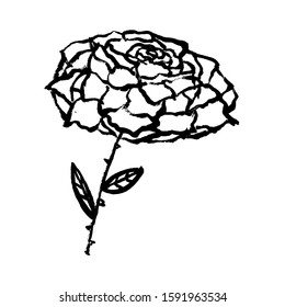 Black silhouette of rose flower isolated on a white background. Doodle grunge hand-drawn style. Big flower is suitable for clothes, wallpaper, stickers, decorations.