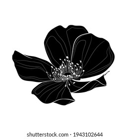 Black silhouette of a rose flower (Rosa rubiginosa) on white background. Vector illustration.