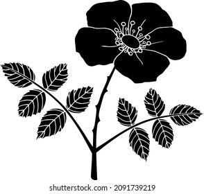 Black silhouette of a rosehip branch with leaves and a flower. An isolated element. Dogrose. Rōsa. 
