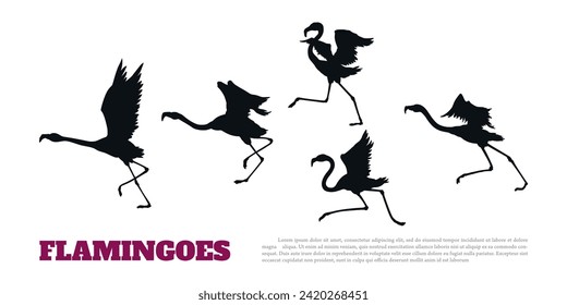 Black silhouette of running flamingoes. Tropical birds isolated scene. Flying flock scene. Exotic beach landscape. Wild fauna scene. Vector illustration