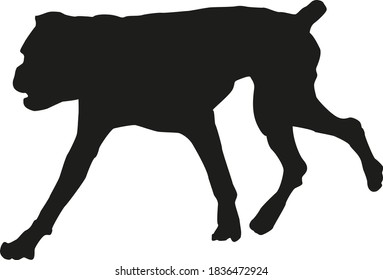 Black silhouette of running german boxer puppy. Isolated on a white background. Vector illustration.