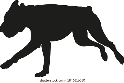 Black silhouette of running german boxer puppy. Isolated on a white background. Vector illustration.