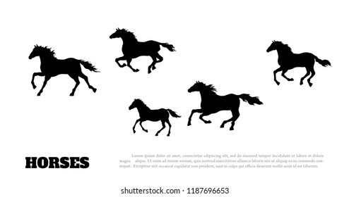 Black silhouette of running horses. Isolated detailed drawing of mustang herd on white background. Side view. Western landscape. Vector illustration