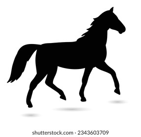 Black Silhouette of running horses isolated on white background 