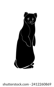 Black silhouette of the sable on white background. Graphic drawing. Vector illustration.