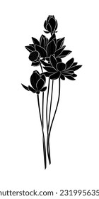 Silueta negra de flores sagradas de loto (Nelumbo nucifera) sobre fondo blanco. Dibujo gráfico. Ilustración vectorial.