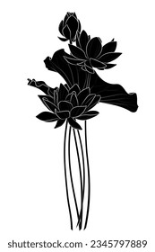 Silueta negra de flores sagradas de loto sobre fondo blanco. Dibujo gráfico. Ilustración vectorial.