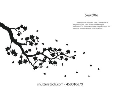 Black silhouette of sakura on a white background. Vector illustration