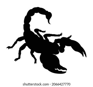 Black silhouette of a scorpion with six legs, vector clipart