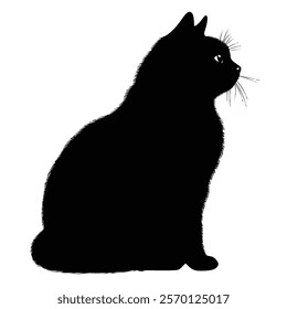 Black silhouette of a Scottish Fold