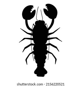 Black silhouette of sea crayfish, top view of silhouette of marine animal. Vector illustration isolated on white background
