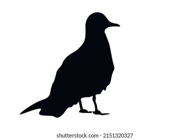 Black silhouette of a seagull on a white background, rear view. Cute waterfowl icon. Sea gull logo, vector design eps 10