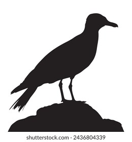  black silhouette of a Seagull with thick outline side view isolated