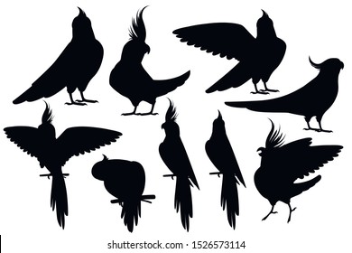 Black silhouette set of adult parrot of normal grey cockatiel (Nymphicus hollandicus, corella) cartoon bird design flat vector illustration isolated on white background