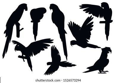 Black silhouette set of adult parrot of red-and-green macaw Ara (Ara chloropterus) cartoon bird design flat vector illustration isolated on white background